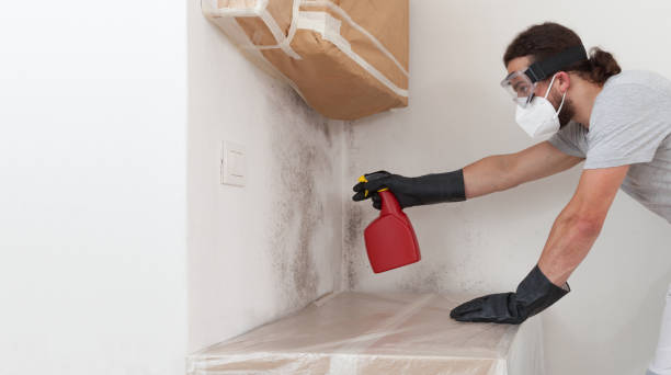 Professional Crawl Space Mold Removal technician working in Valrico, FL